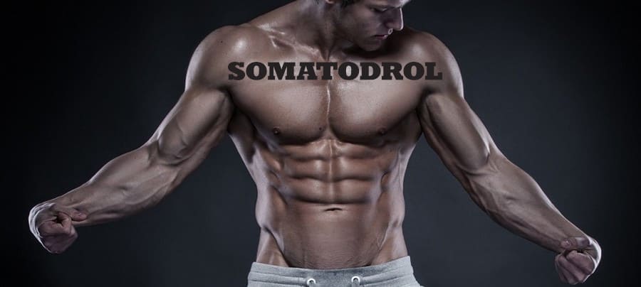 Somatodrol